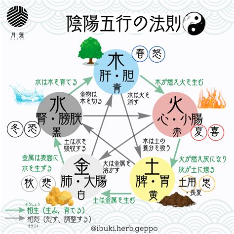 陰陽法則|陰陽五行説 – 陰陽道・五行説をわかりやすく解説【図。